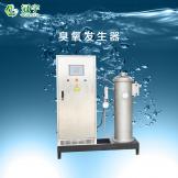 300g氧氣型臭氧發生器